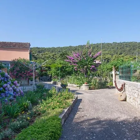 Teo * Veli Lošinj
