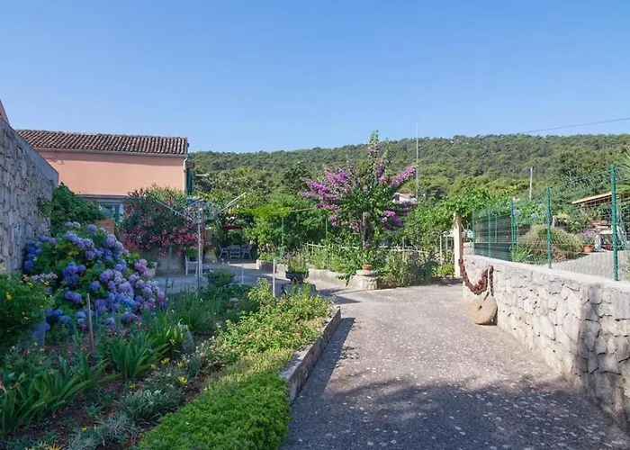 Teo * Veli Lošinj